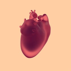 Blender