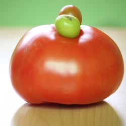 Food Fotografie 2012
