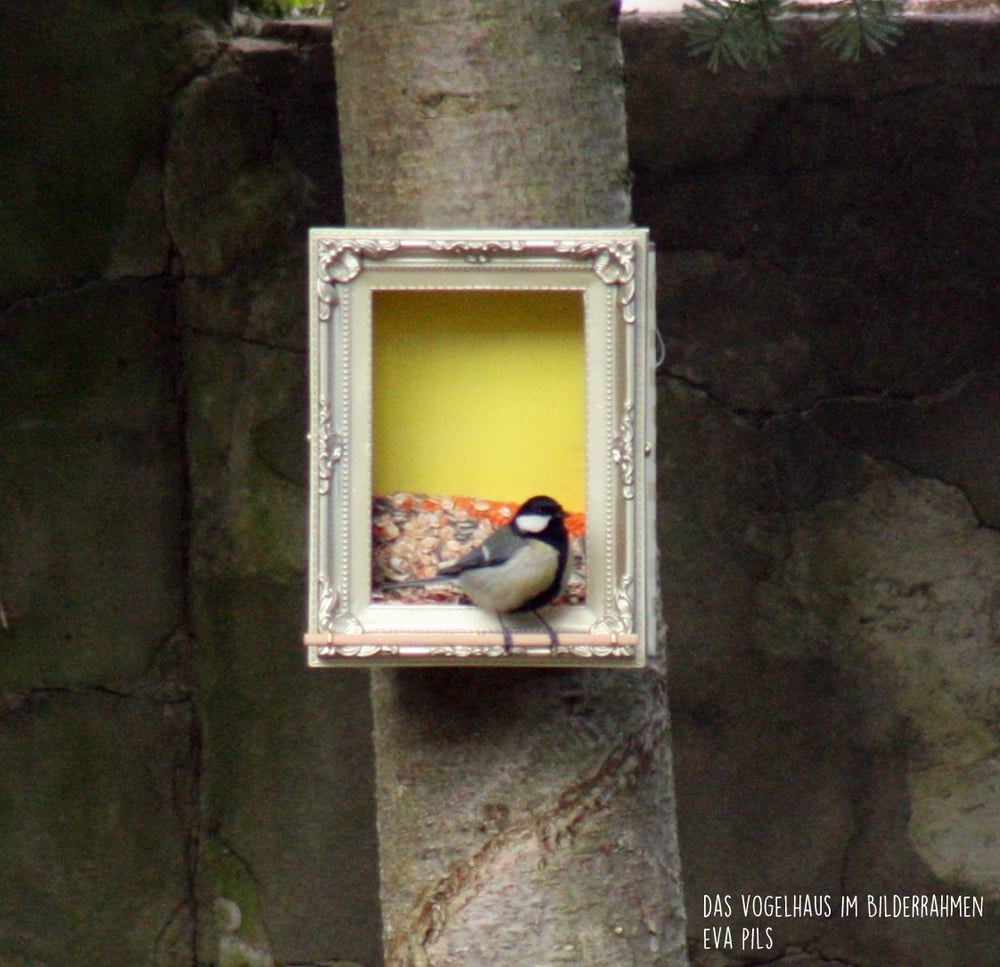 vogelhaus foto evapils01