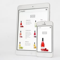 Webseite | Miete Secco