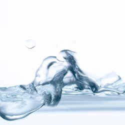 wasser 5