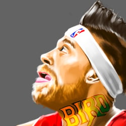 Chris Andersen (Basketballspieler)