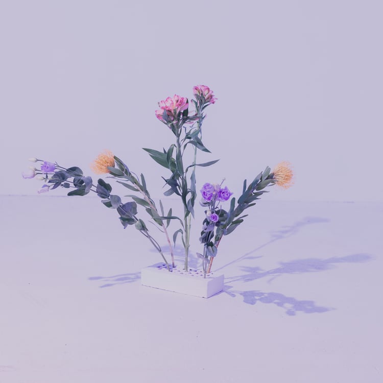 Lea Fleck