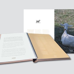 Sa Pedrissa – Buchgestaltung / Konzept