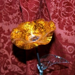 Flower CDR orange