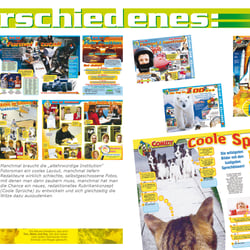 Gestaltung diverse Seiten 2