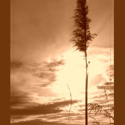 autumn 02