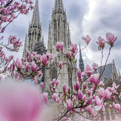 Wien