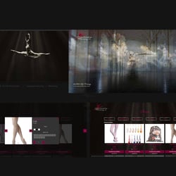 Webseite und Webshop für Tanzkleidung, Animation, responsive, emotionale Ansprache …