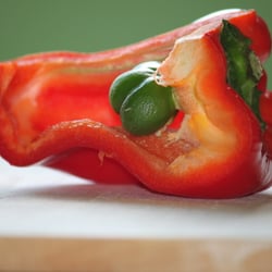 Food Fotografie 2012 Paprika in Farbe No 15