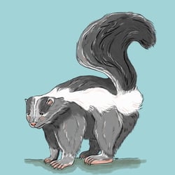 Stinktier (digital)