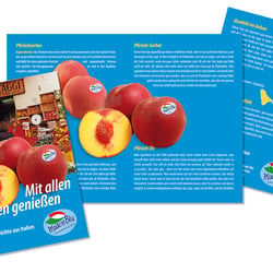 Entwurf Flyer