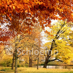 Maschpark in Hannover