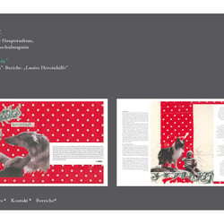 Fachhochschulmagazin Layout