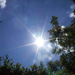 DSCF0276