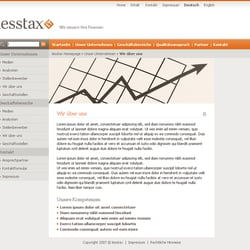 Layout für Steuerberater Lesstax Treuhand GmbH