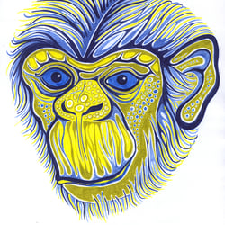 blue chimpanzee sm