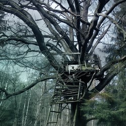 Wie in einem Zauberwald…