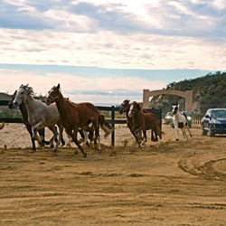 Porsche AG, Cayenne Händlereinführung, Mexico 2006