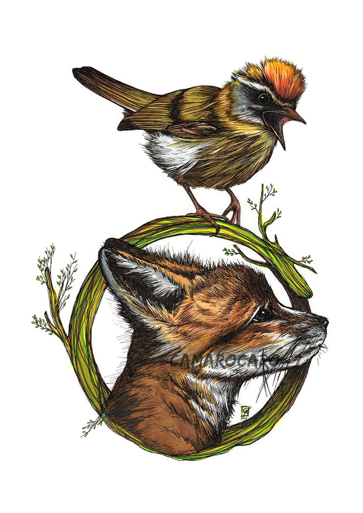 Little Fox and Firecrest Illustration