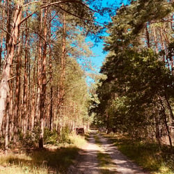 Uckermark / 2022