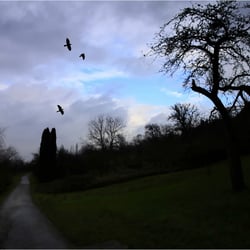 draußen unterwegs