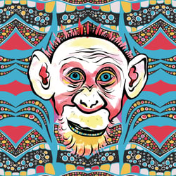 Monkeyhead 9, fineartprint 30 × 30 cm (variable)