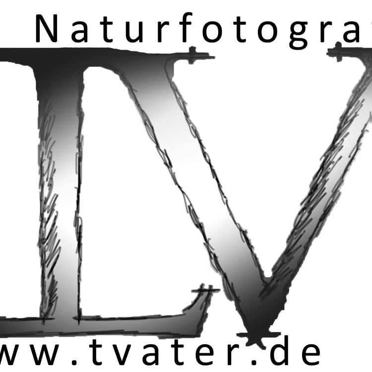 Thiemo Vater