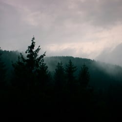 Harz