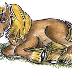 Illustration