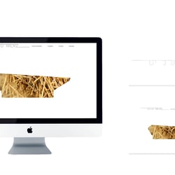 Freier Architekt Otto Merz | Web Design & Entwicklung | Mundelfingen