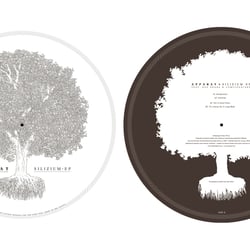 »Apparat – Silizium EP«, 12″ Picture Disc, Shitkatapult Records