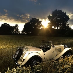 MG ‚under the sun‘