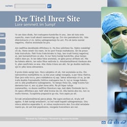Web-Template (Medizin)