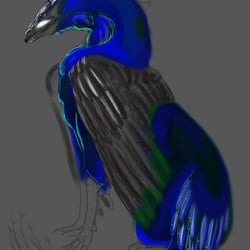 Peacock-Dragon – wip