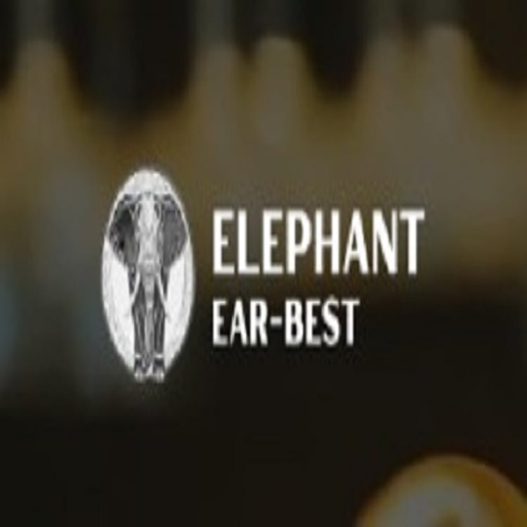 Elephant Ear