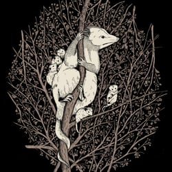 Opossum (digital)