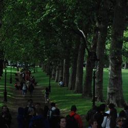 crowded park lane