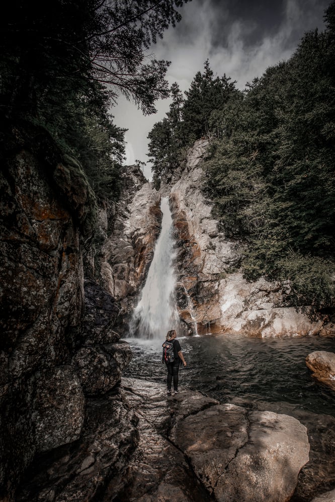 Fotografie