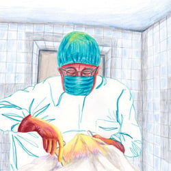 The surgeon