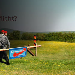 Wehrhaft per Wehrpflicht?