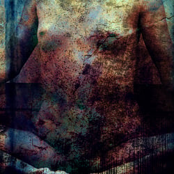 Torso 4109