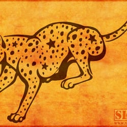 Cheetah Running