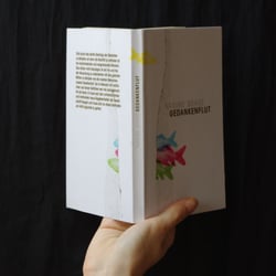 Buchcover „Gedankenflut“
