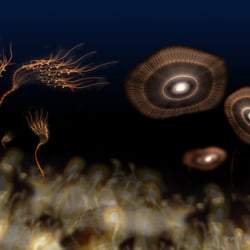 Tiefsee