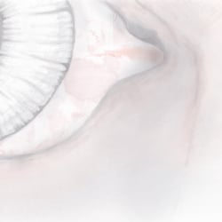 eye