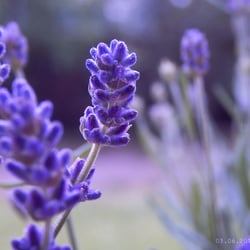 DSCN4824