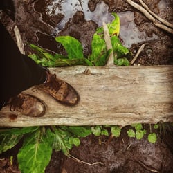 muddy adventure