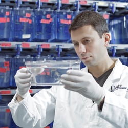 LIMES LIFE & MEDICAL SCIENCES