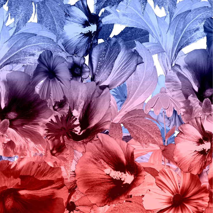 All Over Print